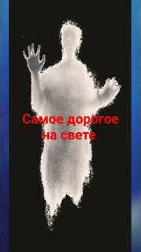 #самое дорогое на свете # - YouTube