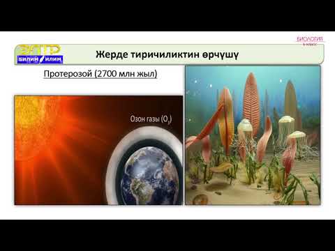 Video: Өсүмдүктүн негизги жашоо цикли жана гүлдөөчү өсүмдүктүн жашоо цикли - Багбанчылык Ноу Хау