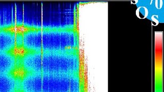 Friday 07/31/26 A.M. Schumann Resonance 