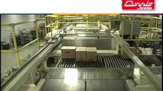 Automated Palletizer System