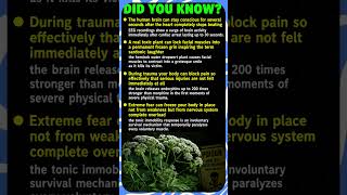 4 Disturbing Body Facts Nobody Ever Taught You In