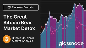 The Week On-chain: The Great Bitcoin Bear Market Detox  - Week 39, 2022 (Bitcoin Onchain Anlaysis)