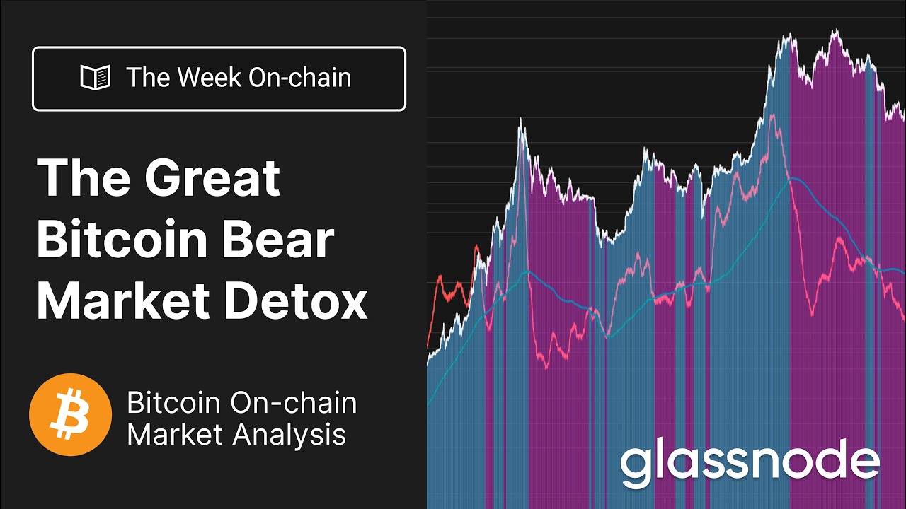 The Week On-chain: The Great Bitcoin Bear Market Detox - Week 39, 2022  (Bitcoin Onchain Anlaysis)