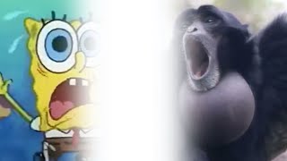 Spongebob screaming gibbon monkey