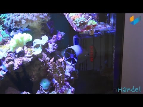 Eheim Strömungspumpe streamON+ | Review | Meerwasser Live TV