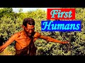 The Emergence of Homo Sapiens: The African Origins of Humans