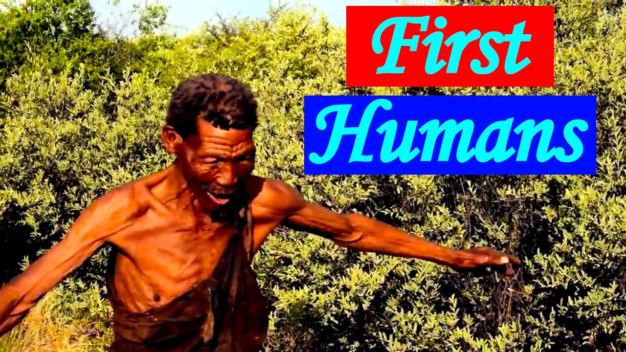 The Emergence of Homo Sapiens: The African Origins of Humans