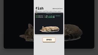 Fish, explained by cats #cat #code #fish #linux #terminal