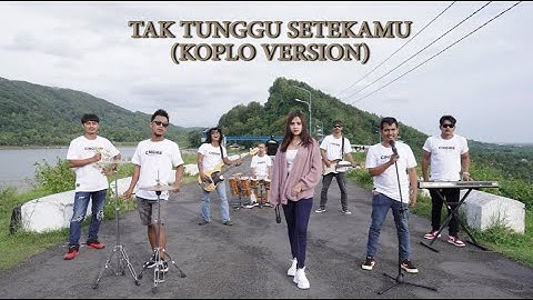 RINA DP Ft CINGIRE || TAK TUNGGU SETEKAMU (OFFICIAL)