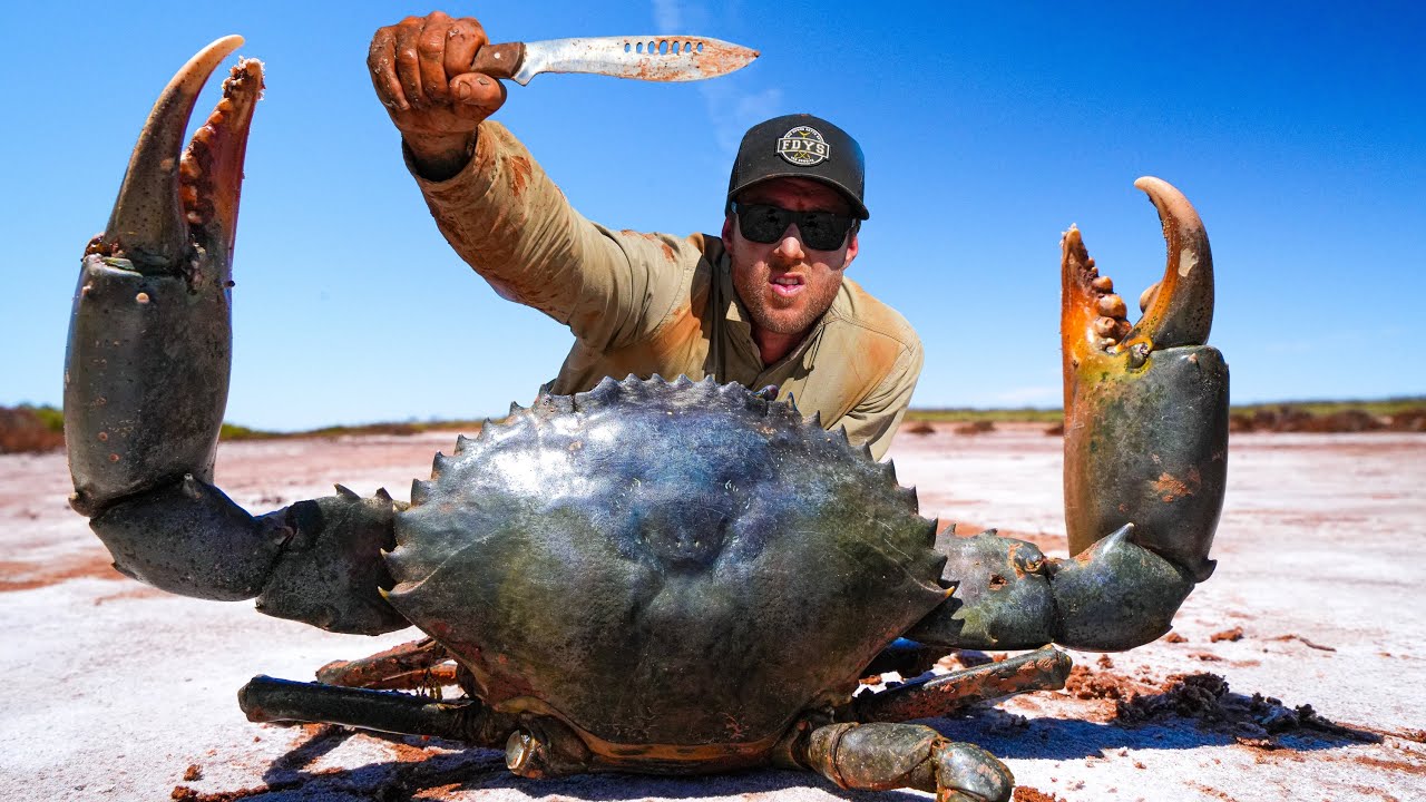 GIANT CRAB Caught By HAND- EATING and COOKING on a Fire 