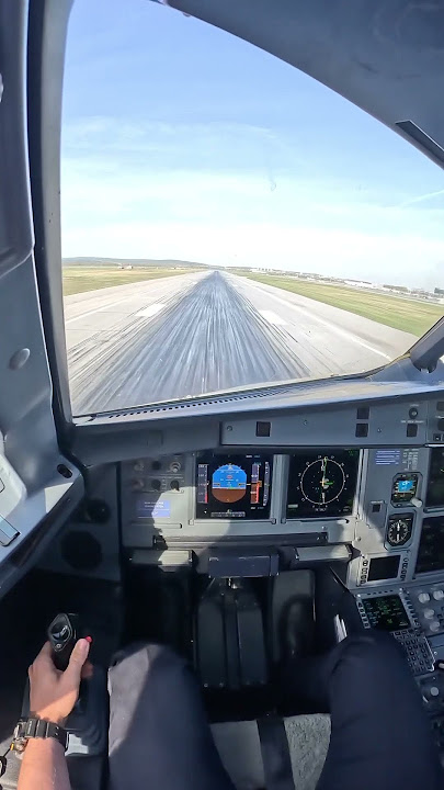 Airbus A321 landing #cockpit #view #pov #airbus #landing #aviation | rate this landing 0-10