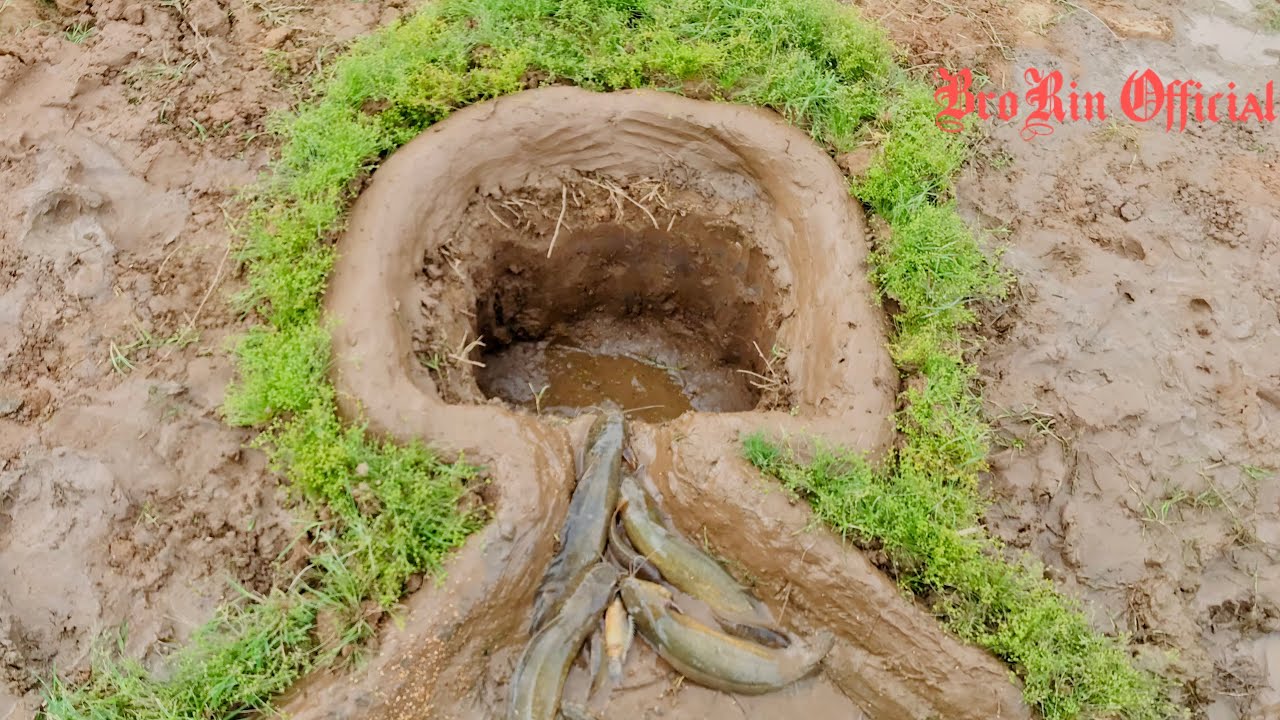 Easy trap fishing | Amazing trap fishing technique | fishing video | BroRin Official