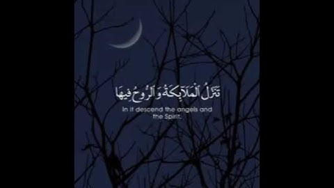 Statut WhatsApp 2021 / القرآن الكريم - ماهر المعيقلي 💕💞