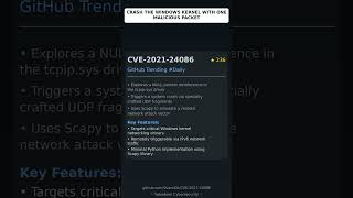 Famous GitHub Trending Repositories: 0vercl0k/CVE-2021-24086 🇬🇧 Net Worth