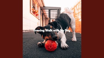 Pulsating Spirited Flow