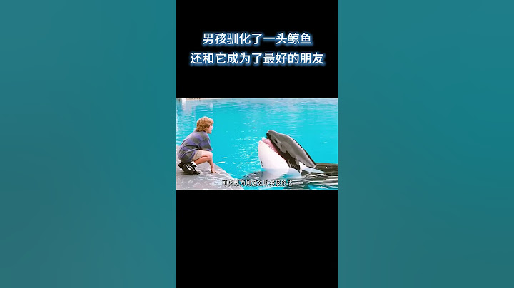 男孩和一头虎鲸成为好朋友 #电影 #解说 #解說