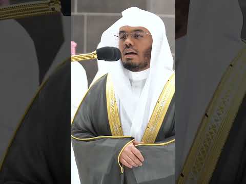 فاستمسك بالذي أوحي إليك إنك على صراط مستقيم تلاوة بتحبير آسر للشيخ ياسر الدوسري التلاوة كاملة بالوصف