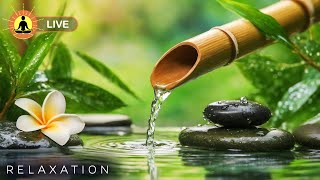 🔴 Relaxing Zen Music 24/7, Stress Relief Music, Sleep Music, Meditation Music, Study, Bird Sounds screenshot 2