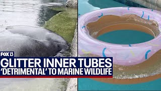 Glitter-filled floats pose threat to Florida manatees