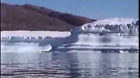 Paddling my Kayak among the Ice in the Arctic Gail...