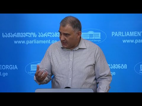 რუსეთთან სავიზო რეჟიმი ნიშნავს, რომ სირთულეები შეექმნებათ ეთნიკურად ქართველებს - სარჯველაძე