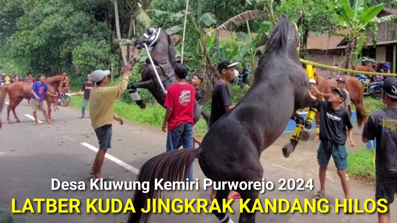 Latihan Bareng Kuda Jingkrak 2024 || Kandang Kuda Hilos Desa Kluwung Kemiri Purworejo