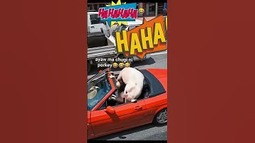 Daily Giggles: Desperate Jump #funnyvideo #laughteristhebestmedicine #goodvibes #positivevibes