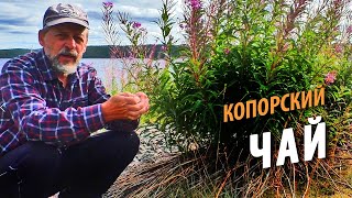 видео: #13 Остров Борщовец | Делаю Копорский чай | Поход 2021 картинка: #13 Остров Борщовец | Делаю Копорский чай | Поход 2021