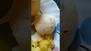 #food # reels# short# Breakfast menu luche sada alurtorkre payas misti