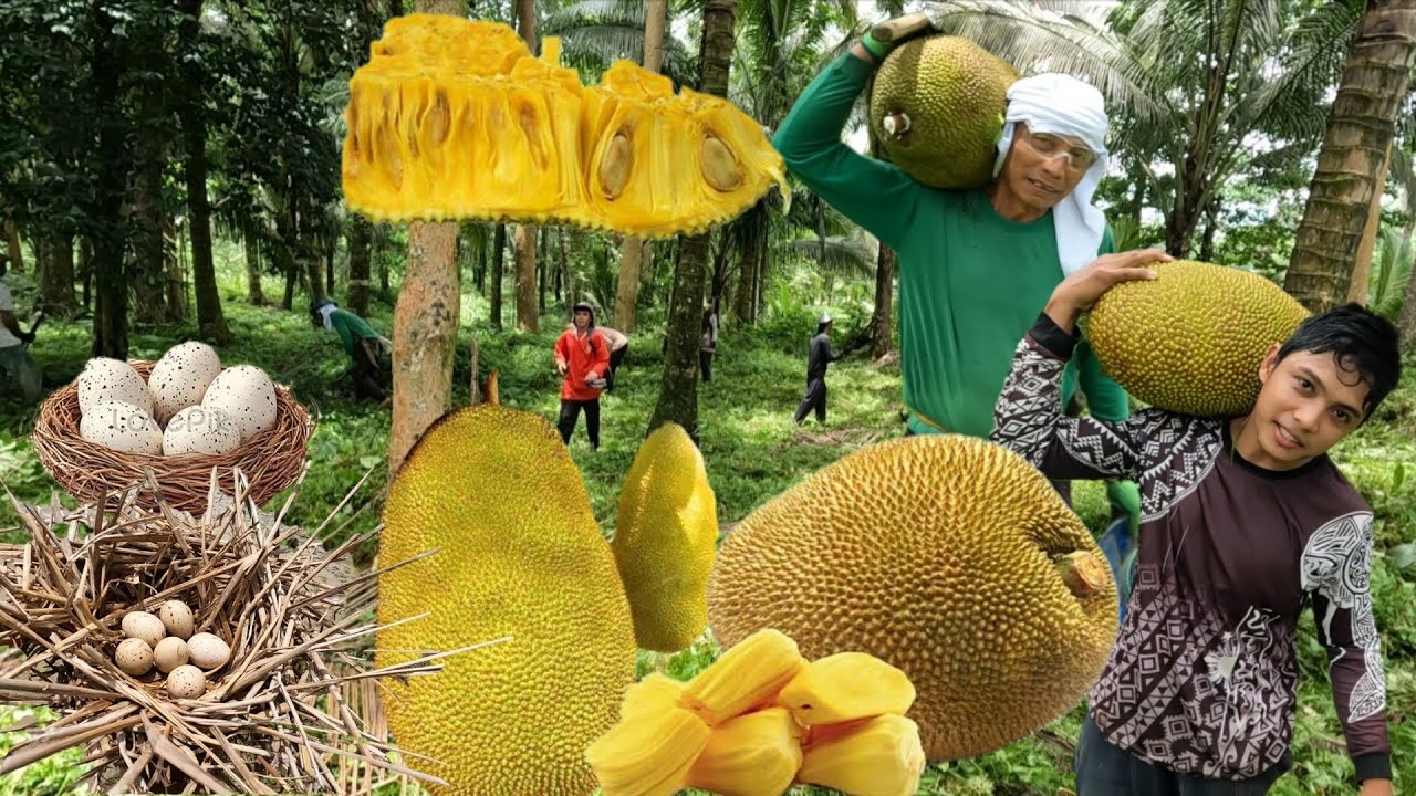 SINABA NA LANGKA NAPAKALAKI PAGTATABAS SA AREA 5 KATULONG NATIN MASISIPAG NATING MGA KIBIGAN