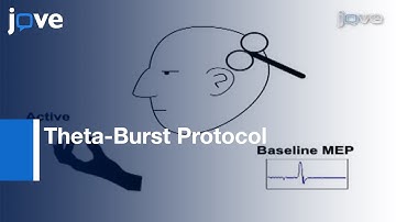 Theta-Burst Protocol To Explore Mechanism: Plasticity-Fragile X Syndrome & Autism l Protocol Preview