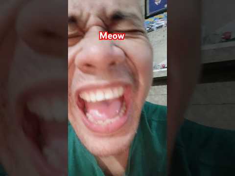 Meow hahaha #subscribe