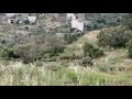 جديد صوت الجنوب كلمات واداء ابو فارس الواديين جديد صوت الجنوب كلمات واداء ابو فارس الواديين