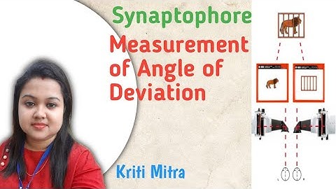 Synaptophore - Subjective and Objective angle of Deviation