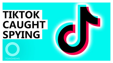 TikTok’s Secret Data Harvesting Exposed