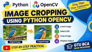 Practical 2:Image Cropping Using Python | OpenCV Practical for BCA Students