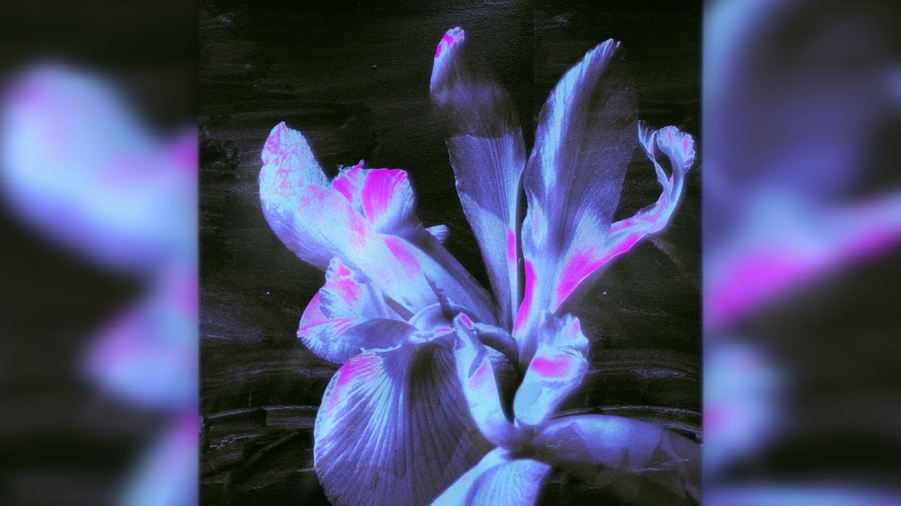 Ace Takuna, Alex Seira & pepito - 444 (Official Audio)