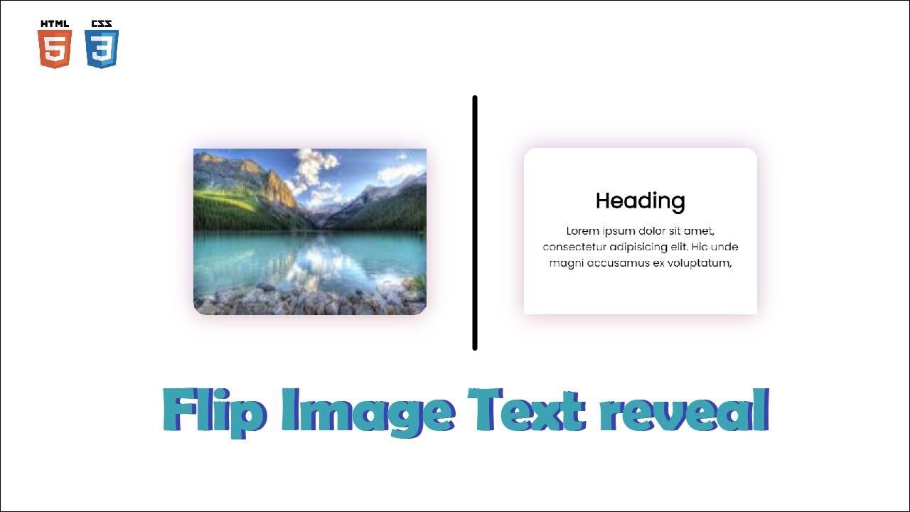 Image Flip Hover Effect Using HTML & CSS - HTML/CSS Tutorial | GRAPHICS ...