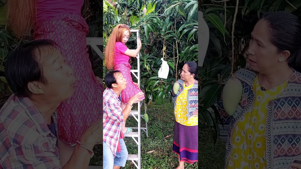 เขยขึ้นสูงบ่ได้