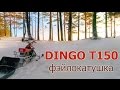 Снегоход Dingo T150, эксплуатация. ФВД - фэйлокатушка выходного дня,  Колягино-Минжуль-НЕвидовка