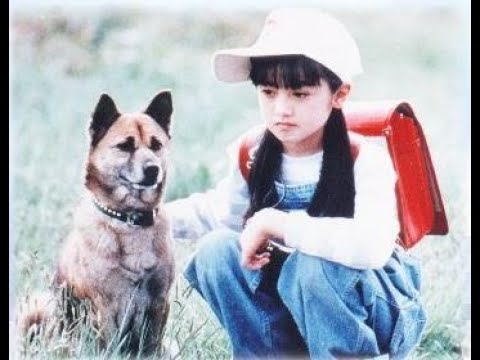 家なき子とHIPHOP