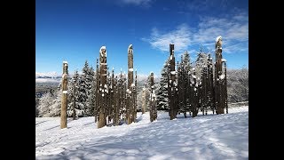 Vancouver area - Burnaby Mountain in the snow! 4K