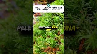 inilah manfaat menyimpan sapu lidi di dalam rumah