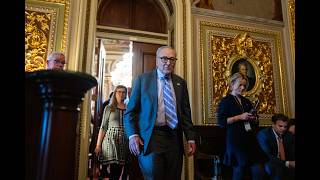 Trump, House GOP Push SAVE Act as Schumer Calls It 'Dead on Arrival'
