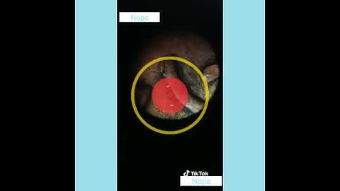 Coins under a microscope