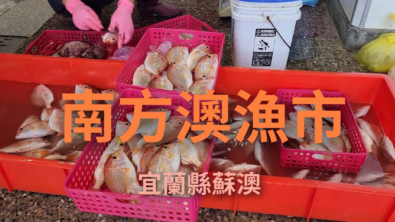 4K |海鮮|生魚片|現撈魚貨|換了地方，逛法也不一樣了，南方澳漁港|第一拍賣市場|