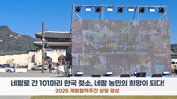 2025 개발협력주간 헤퍼코리아 공식 상영 영상｜광화문 광장