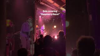 Eels, “Raspberry Beret (Prince cover)” - live at Irving Plaza in New York, NY (05/01/19) #shorts