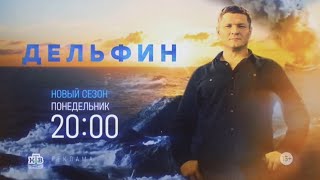 Реклама, Дельфин,2 Сезон,новый сезон,Премьера Понедельник в 20:00 на НТВ,2024