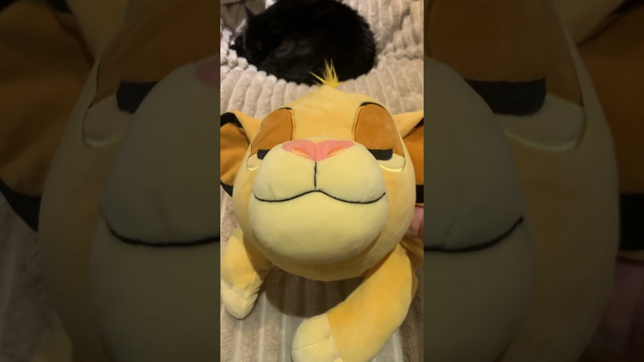 Unboxing Disney Store Big Cuddleez Simba Plush from The Lion King! 🦁✨